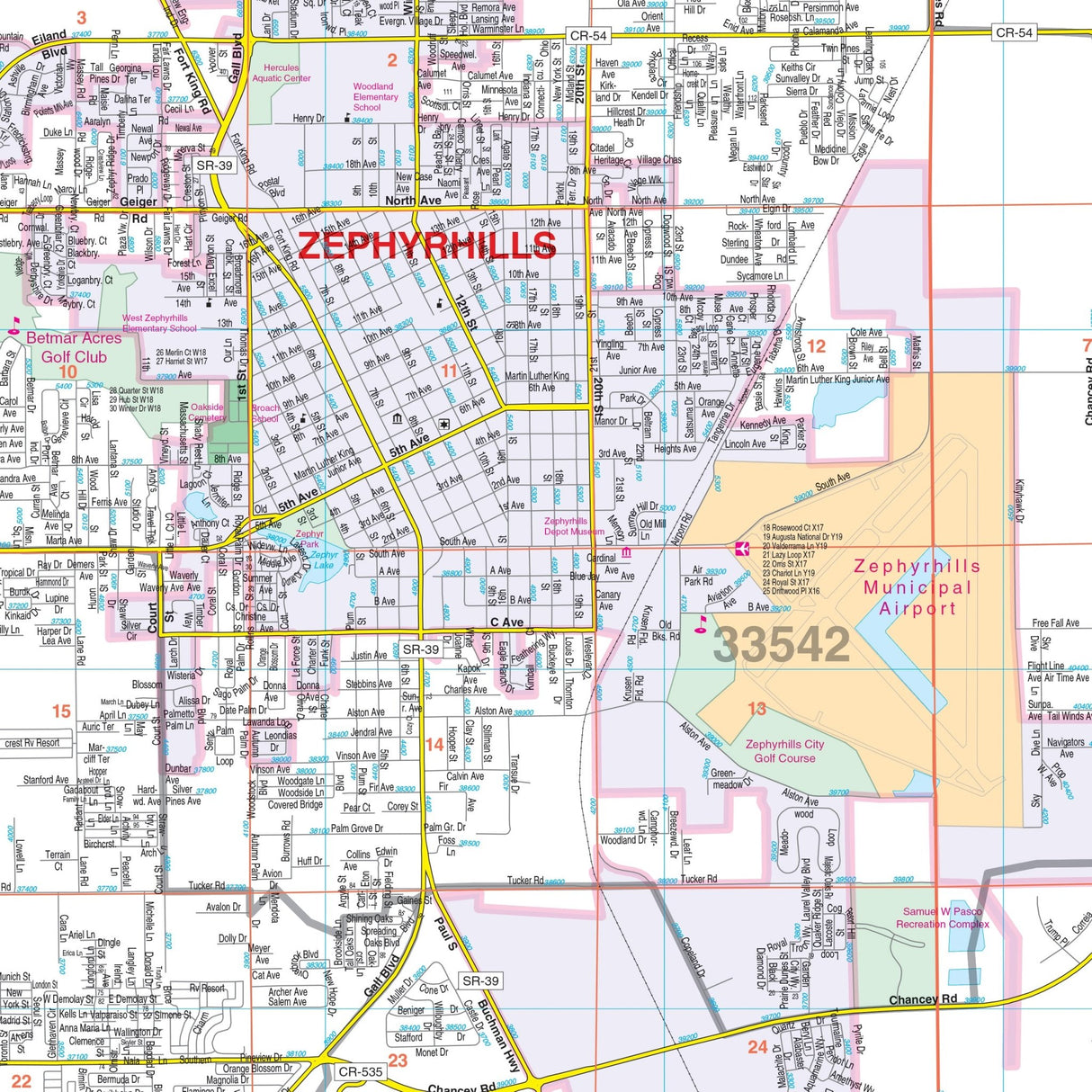 Eastern Pasco County, FL Wall Map - KA-C-FL-PASCOEAST-PAPER - Ultimate Globes