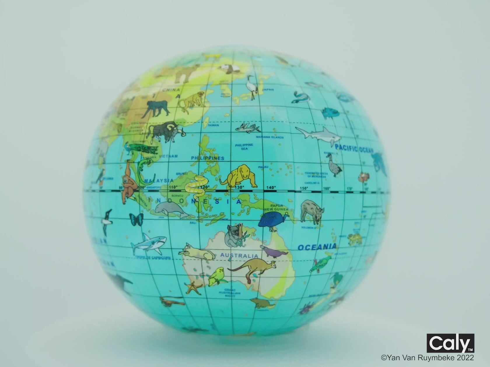 World Animals 12-inch Inflatable Globe