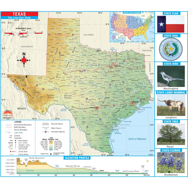 Texas Primary Thematic State Wall Map - KA-S-TX-PRMRY-PAPER - Ultimate Globes